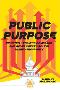 Public Purpose: Industrial Policy's Comeback and Government's Role in Shared Prosperity by Mariana Mazzucato
