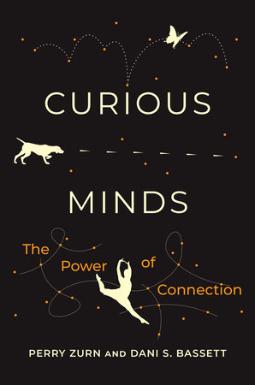 Curious Minds: The Power of Connection by Perry Zurn, Dani S. Bassett